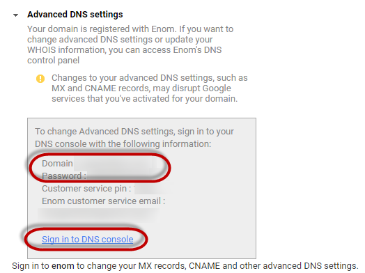 DNS details -screenshot
