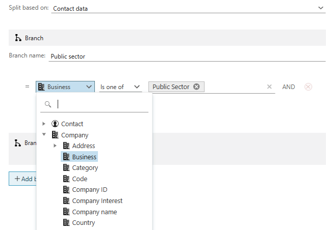 Marketing automation: split flow based on company data -screenshot