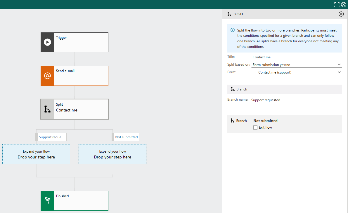 Marketing automation: split flow based on form submitted -screenshot