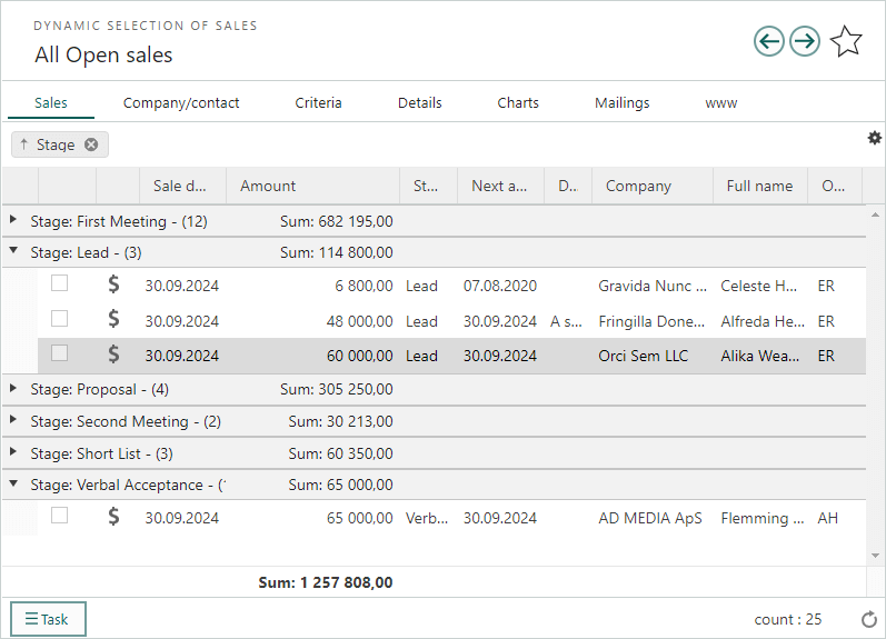 Selection of sales - grouping and sum of amount -screenshot